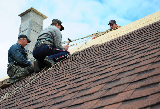 Best Roof Maintenance Services  in Fayette, MO
